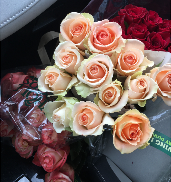 bouquet of pink roses